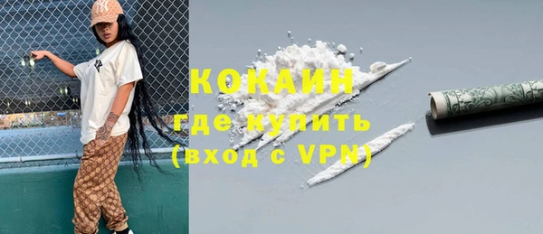 шишки Семилуки