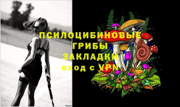 mix Приозерск